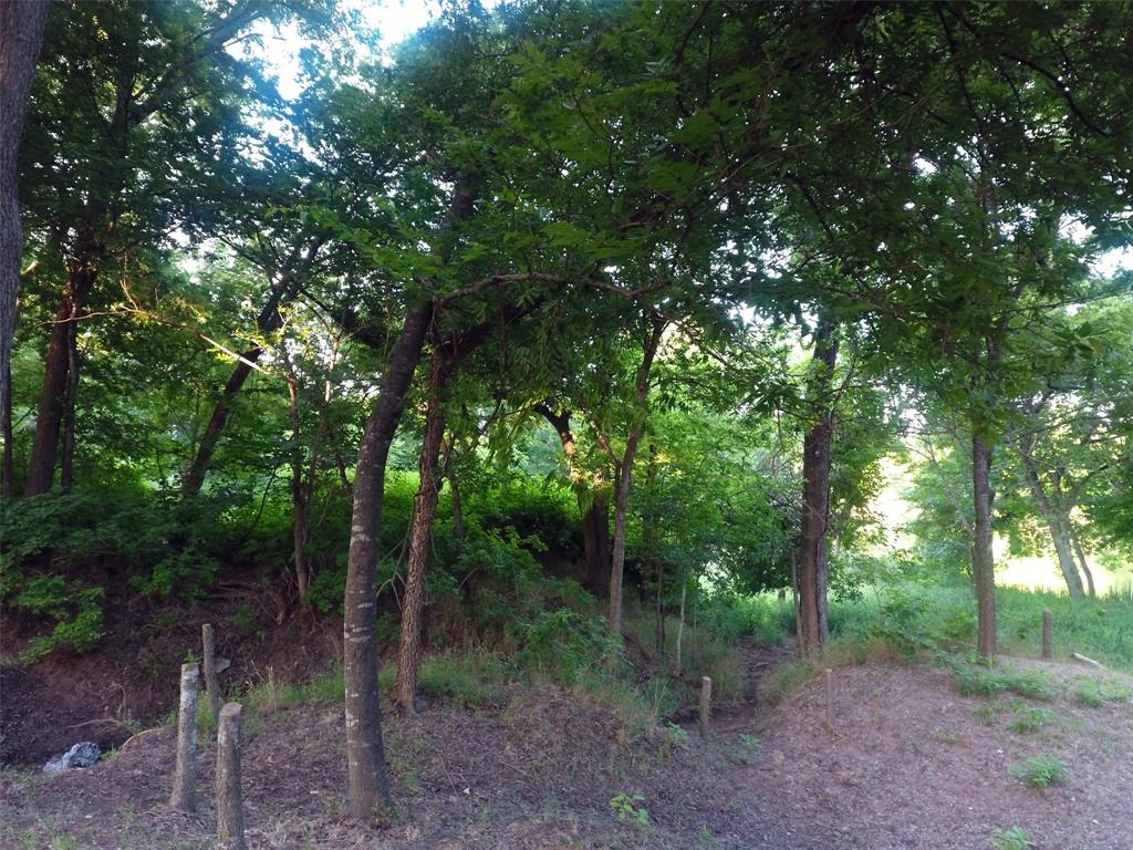 Pecan Plantation - Land