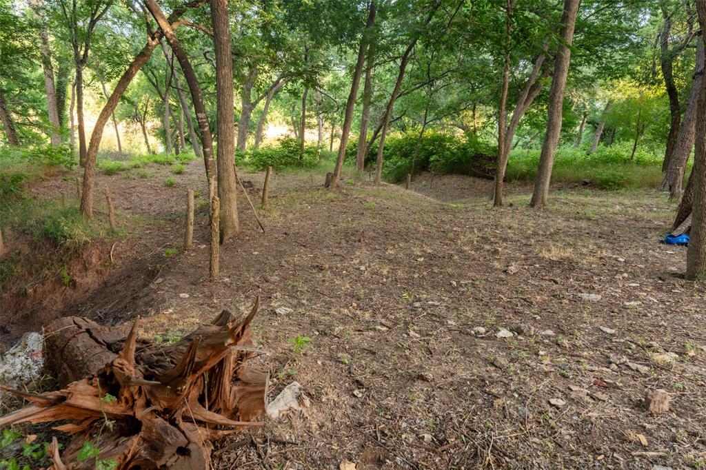 Pecan Plantation - Land