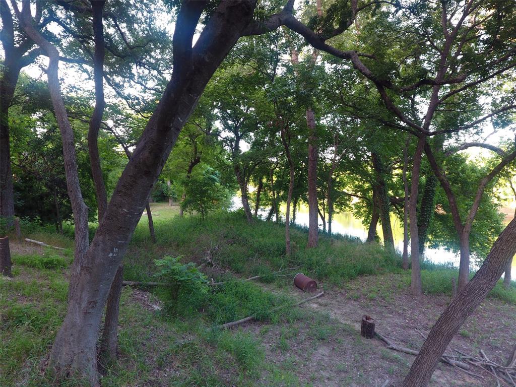 Pecan Plantation - Land