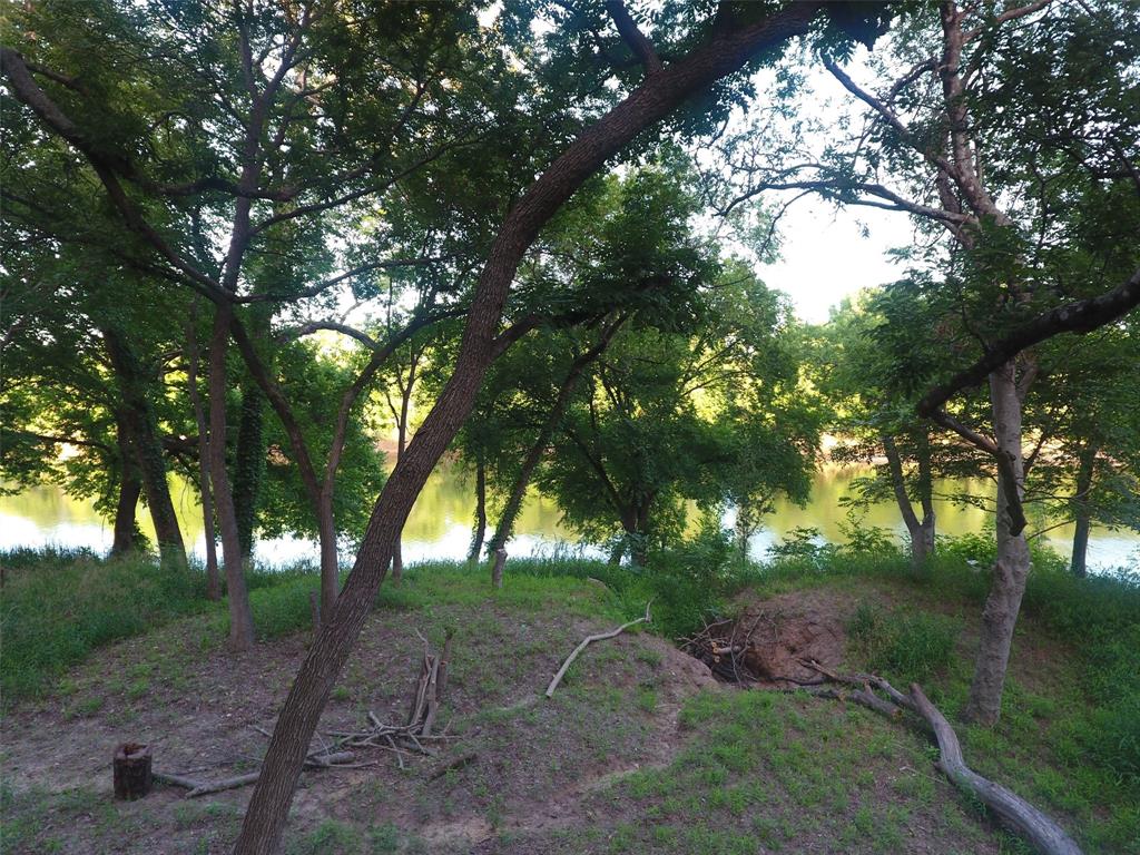 Pecan Plantation - Land