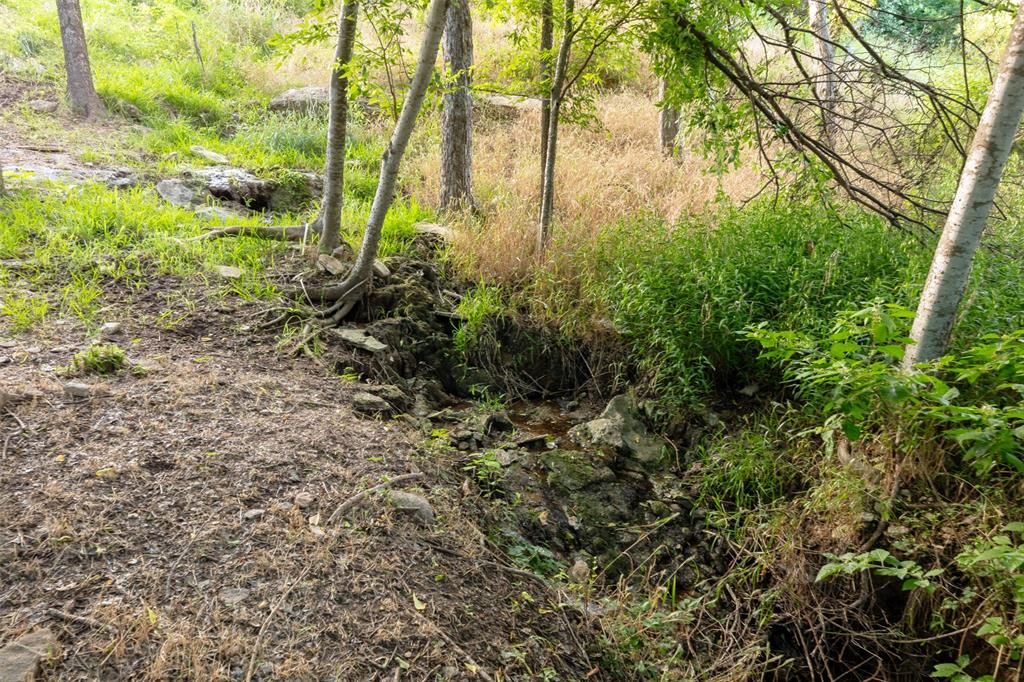Pecan Plantation - Land