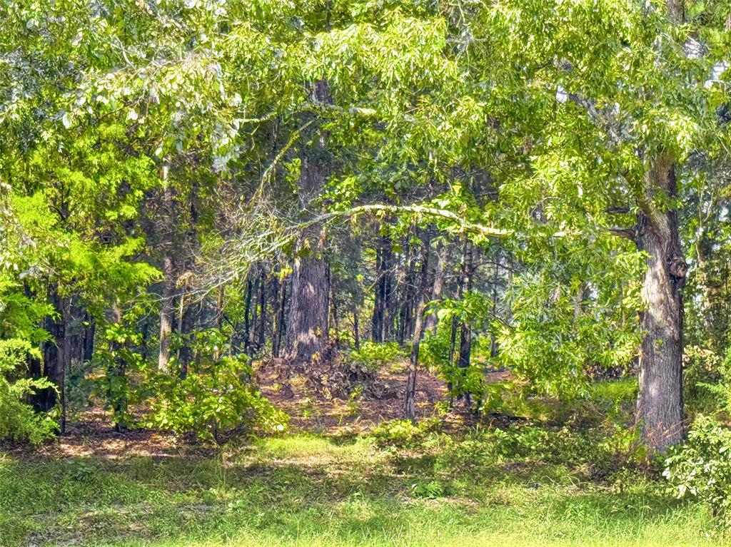 Star Mountain Ranch U-1 - Land