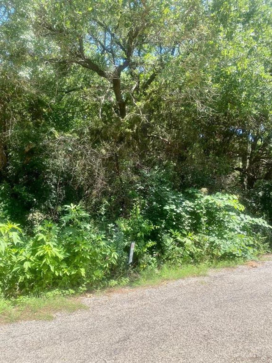 This property is flat with many trees. Build your dream home or move your manufactured home here and still have plenty of room for storage, garage or a carport. This property is two separate lots that are to be sold together.