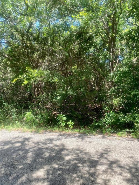 Oak Trail Shores - Land