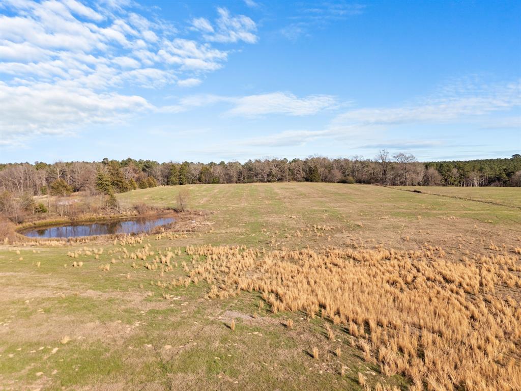 TBD CR 4230 (38.14 Acres)