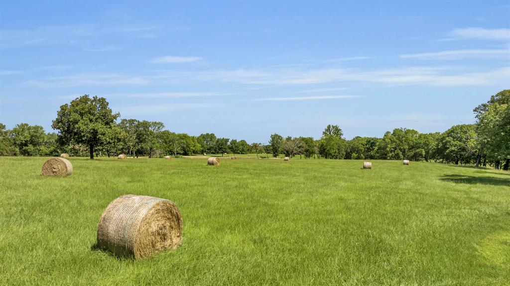 365 County Road 1534