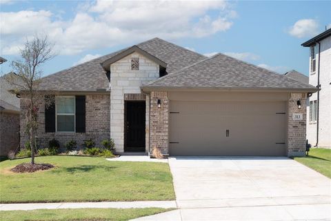 313 Thorn Creek Drive Anna TX 75409