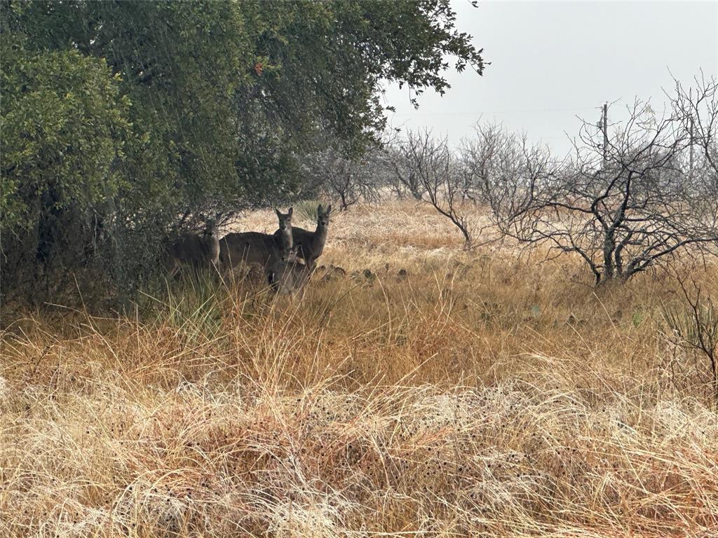 Oak Ridge Ph III - Land