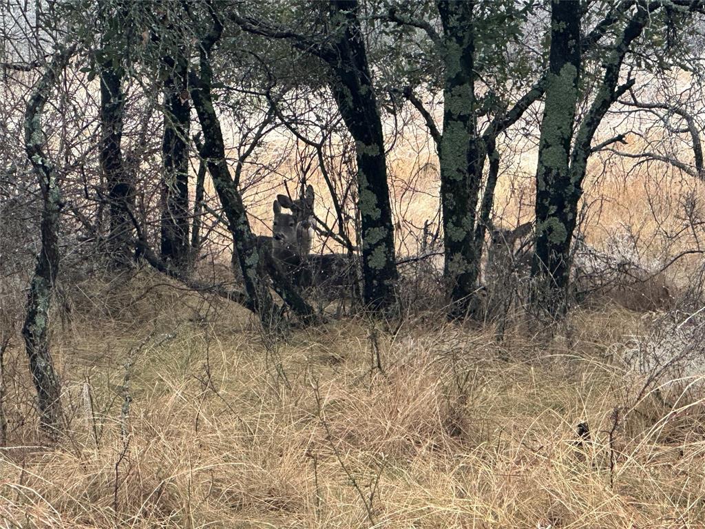 Oak Ridge Ph III - Land