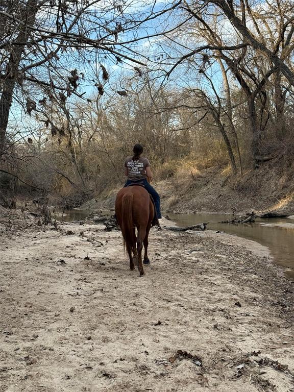 Ponderosa Ranch - Residential
