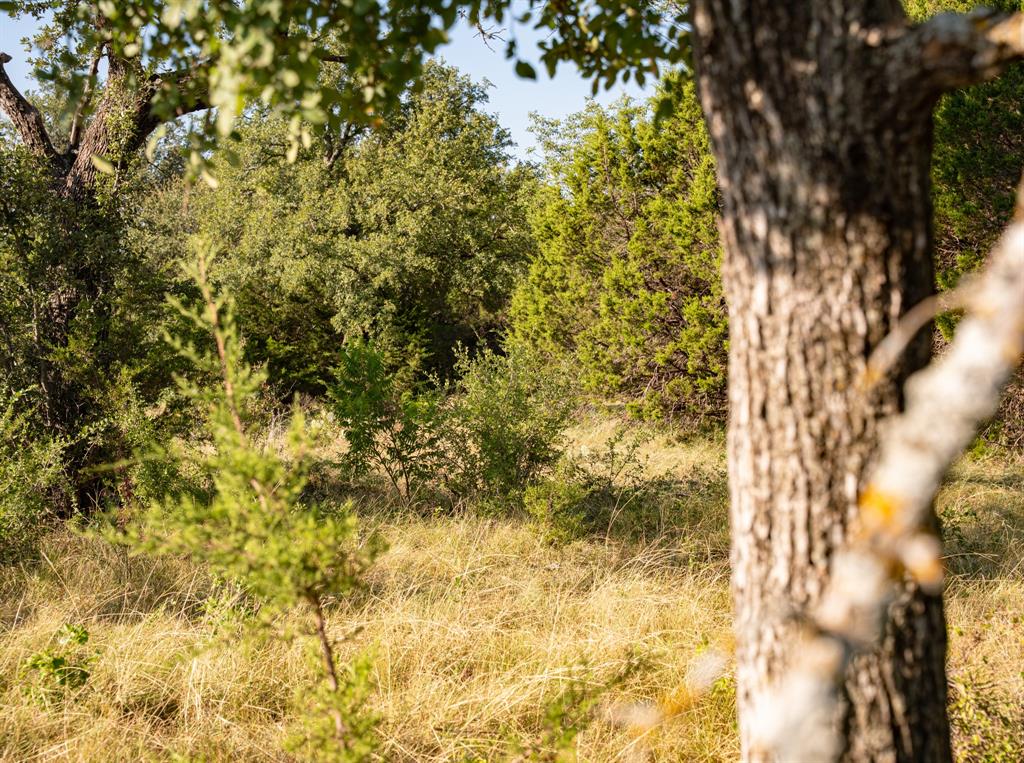 Brazos Mountain Ranch Ph 3 - Land