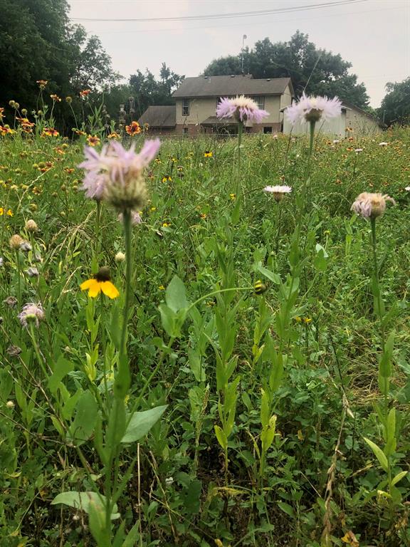 Garden View Add - Residential