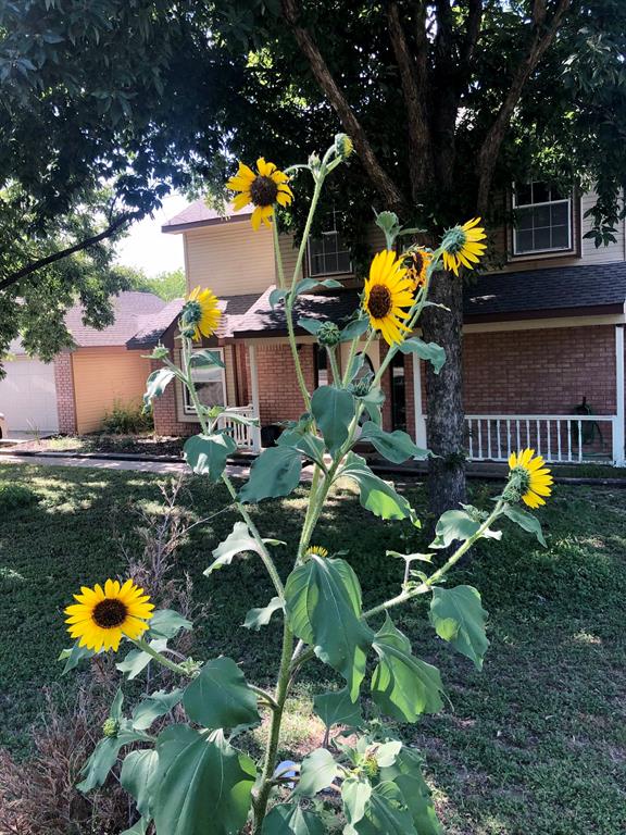 Garden View Add - Residential