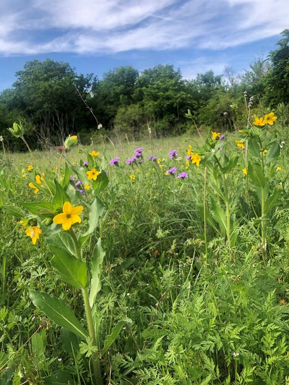 Garden View Add - Residential