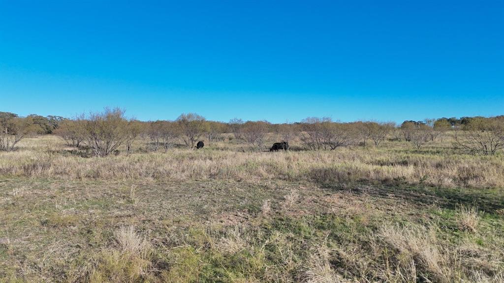 BRAZOS MOUNTAIN VALLEY RANCH - Land