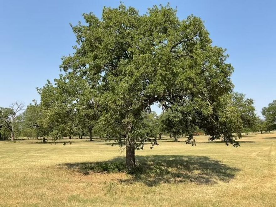 Discover the potential of this expansive land property located at 6532 Retta Oaks Dr, Burleson, TX. Nestled in a serene gated community in Burleson Texas with MISD schools (Rendon Area), this property displays a unique opportunity to build your dream home. With ample space and natural beauty surrounding, it provides a tranquil retreat while still being conveniently accessible to local amenities. Embrace the freedom to create a tailored living environment in this desirable location.