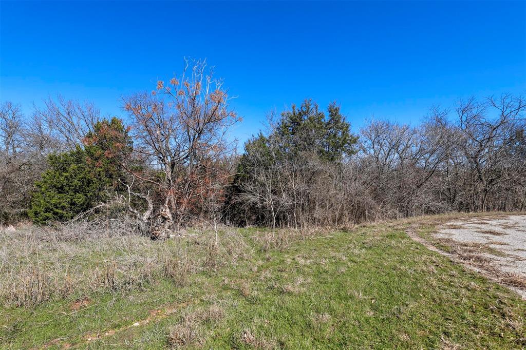 White Bluff #38 - Land