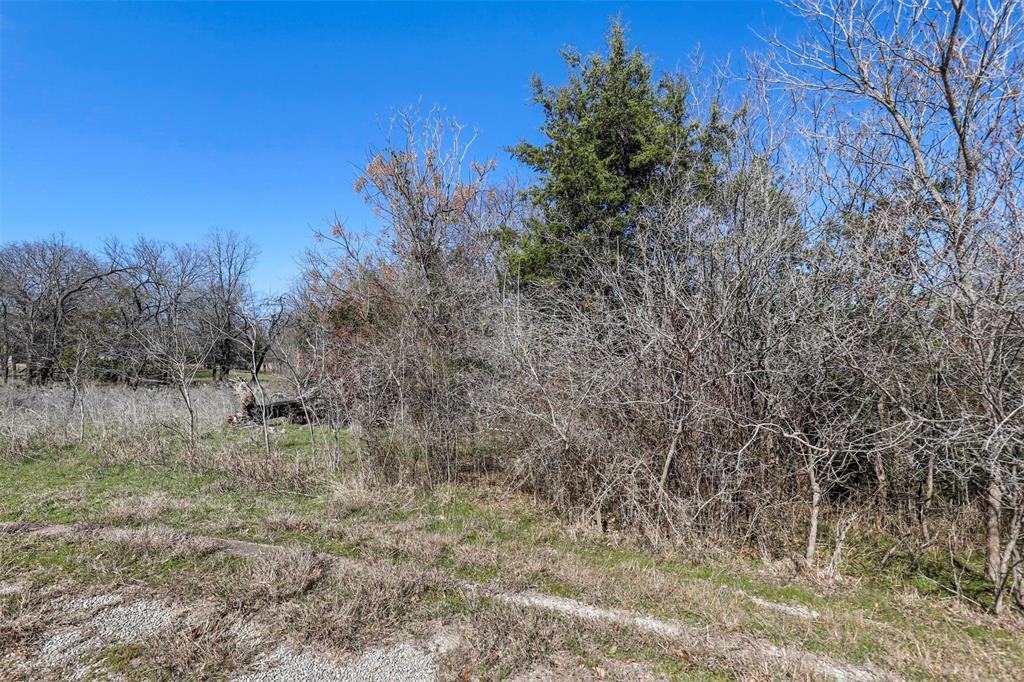 White Bluff #38 - Land