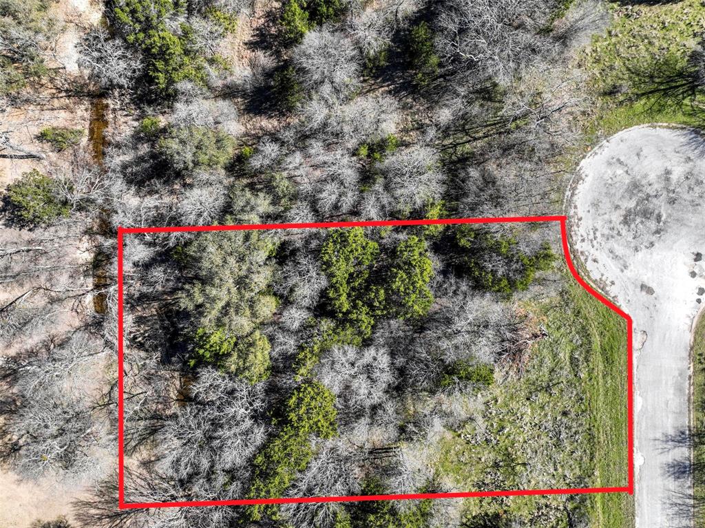 White Bluff #38 - Land