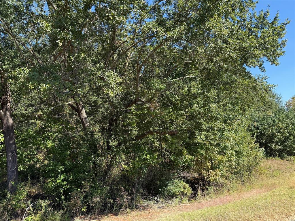 TBD E US Highway 80