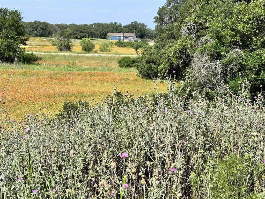 Kings Point Cove - Land