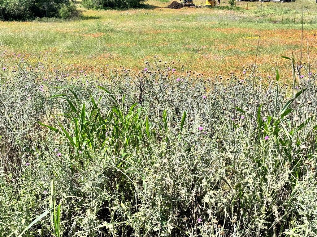 Kings Point Cove - Land