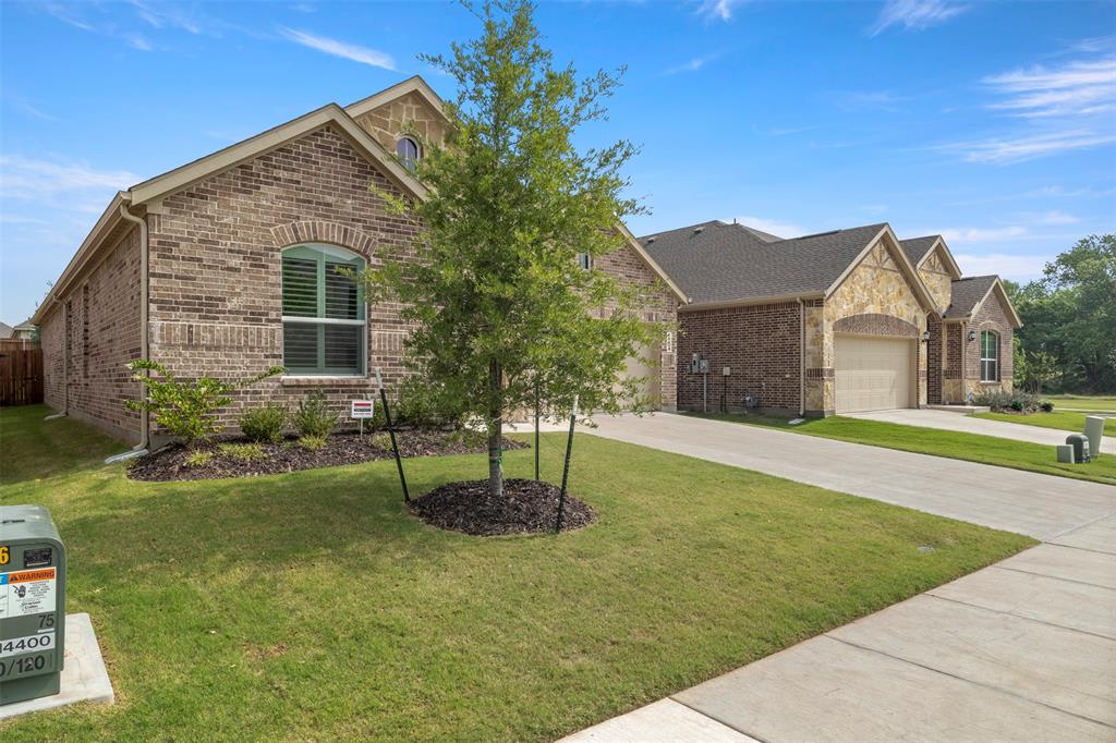 1704 Rubber Fig Lane