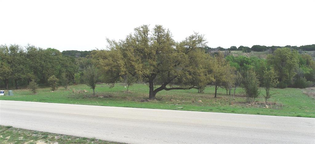 Lot 521 Canyon Wren