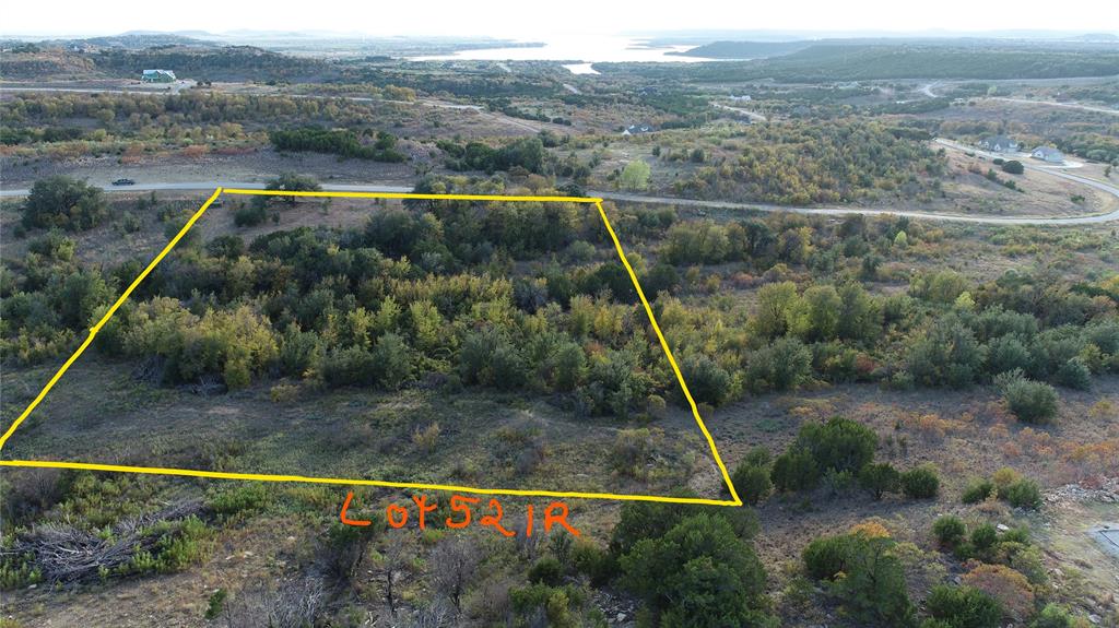 Lot 521 Canyon Wren