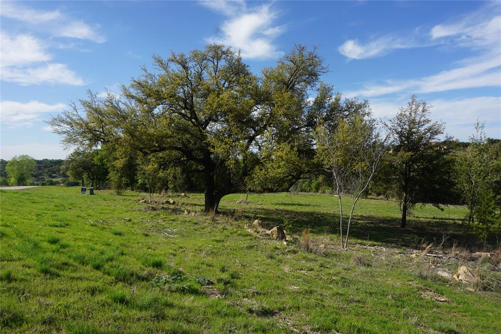 Lot 521 Canyon Wren