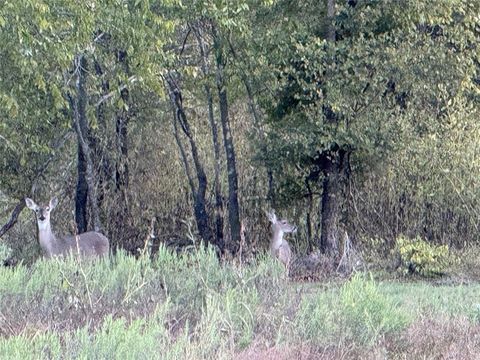 915 Old stephenville road Hico TX 76457