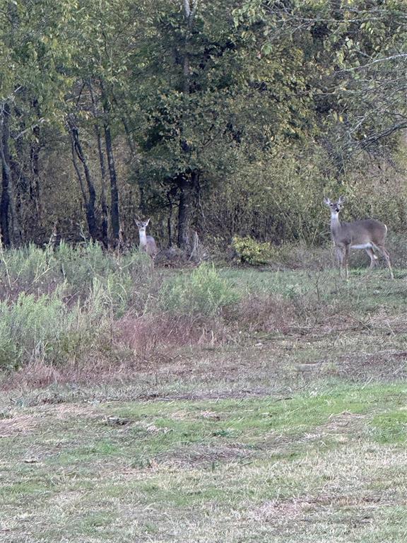 915 Old stephenville road