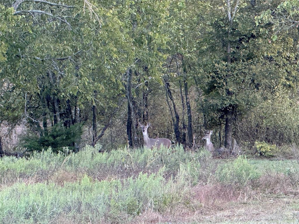 915 Old stephenville road