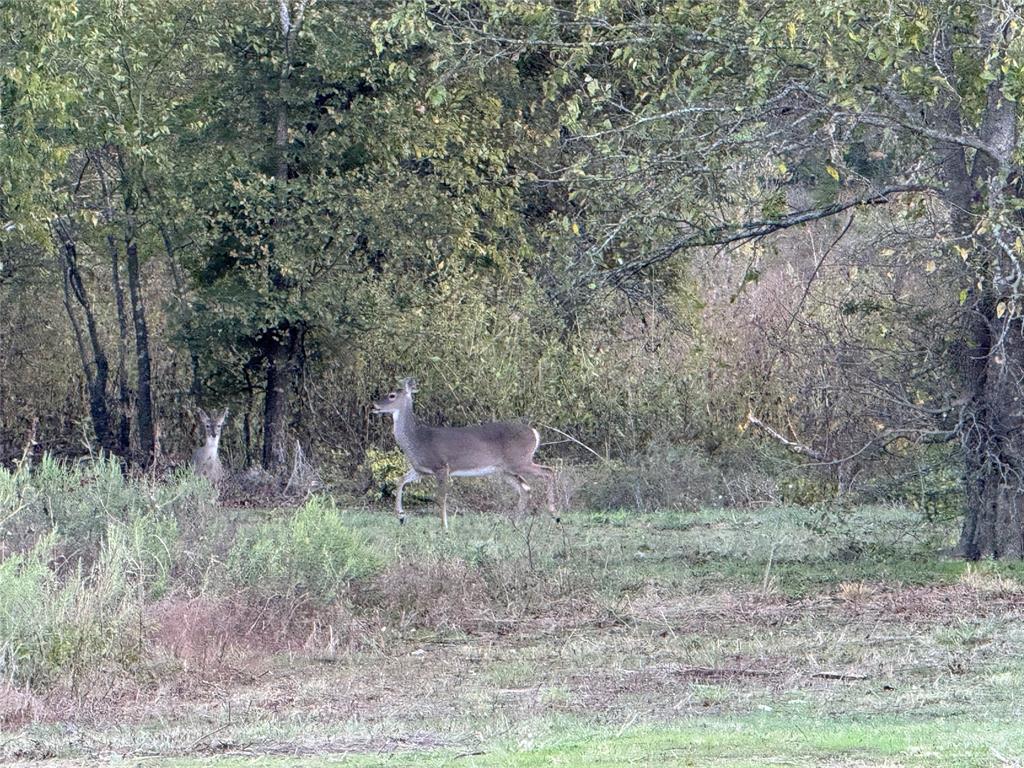 915 Old stephenville road