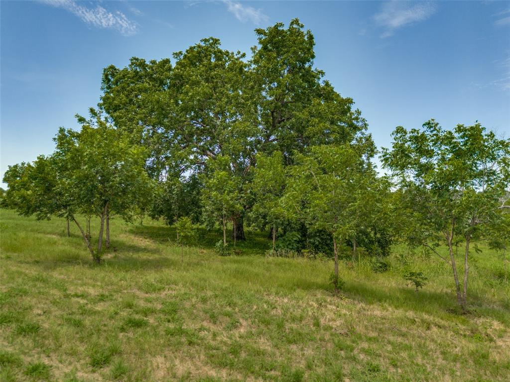 Corsicana - Residential