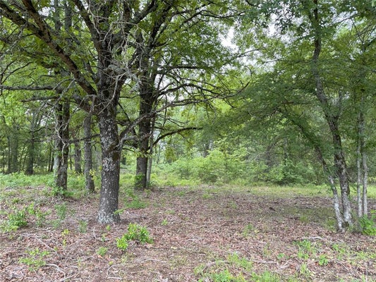 LOT 25 RAINS COUNTY ROAD 2610, ALBA, TX 75410 - Image 6f09f5e109f7575e17b882ccdd358e0d/2154242162