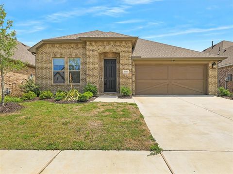 Photo of 3705 Prickly Pear Road, Little Elm, TX 75068 (MLS # 21247690)