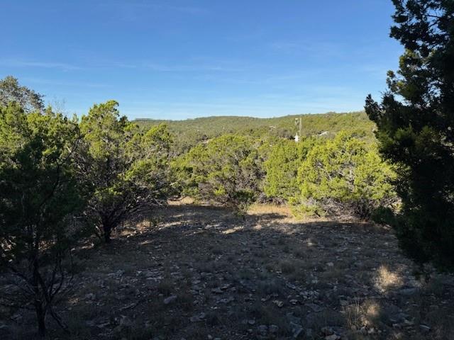 Photo 1 of 11 — 1406 Canyon Trace, Canyon Lake, TX 78133