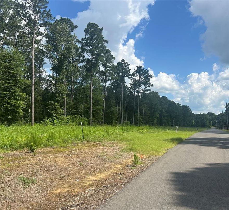 Come pick your 1 acre lot and build your custom home , located off Stonewall Frierson road in Stonewall . Close to I-49 and just minuets from the schools. Lots are partially wooded.