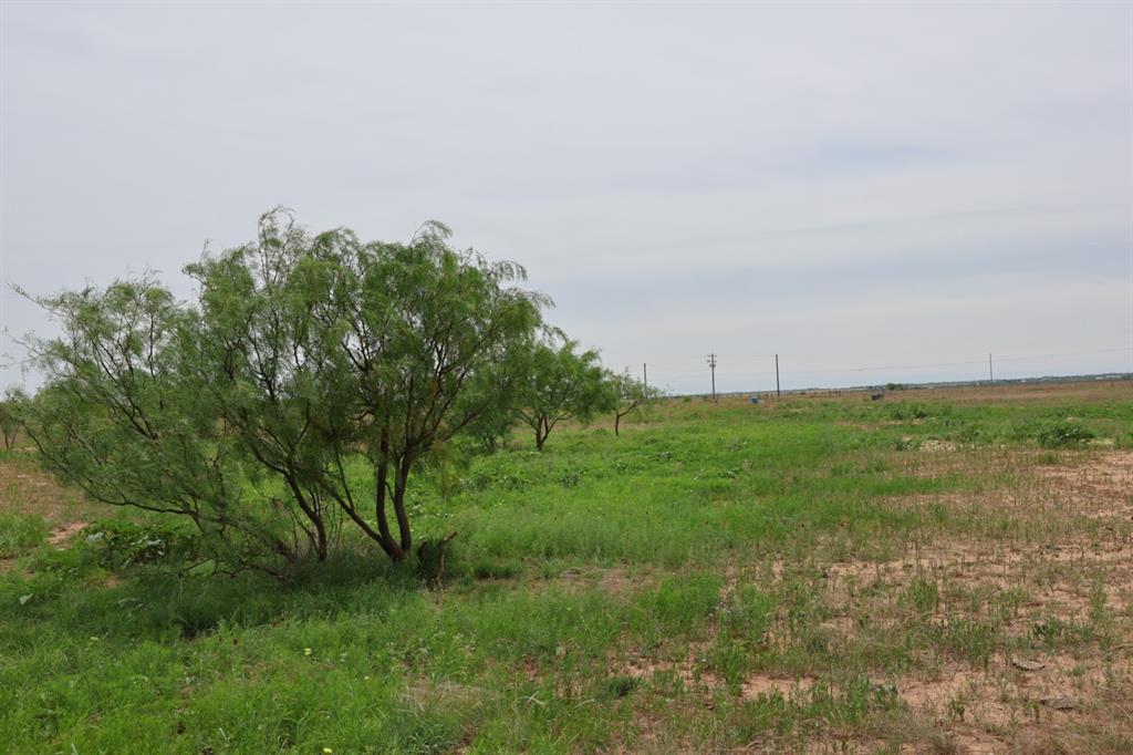 13558 County Road 440
