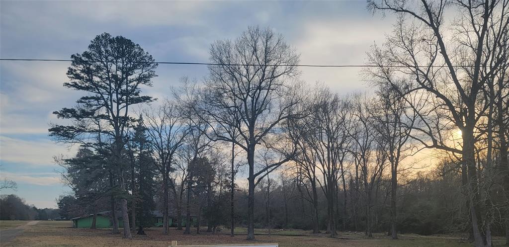 rural - Commercial Sale