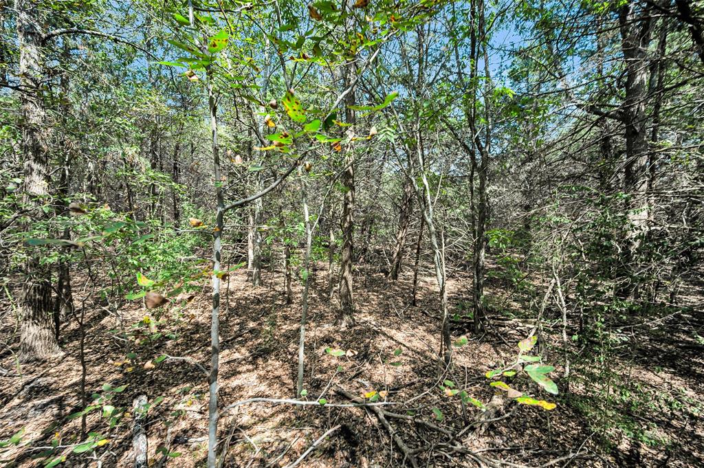 Crestview Estates #2 - Land