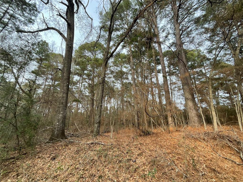 Shreveport, Louisiana 71119, United States, ,Land,Pending,18151