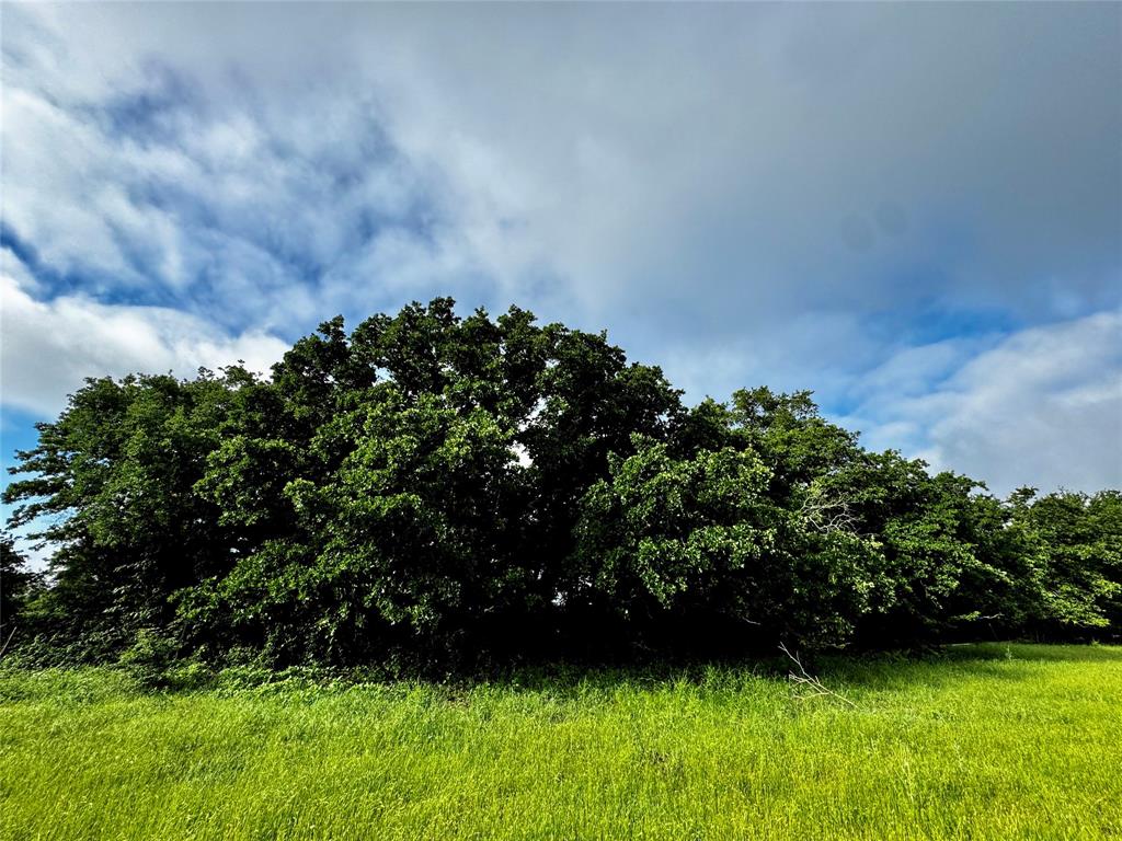 J Robertson A-721 - Land