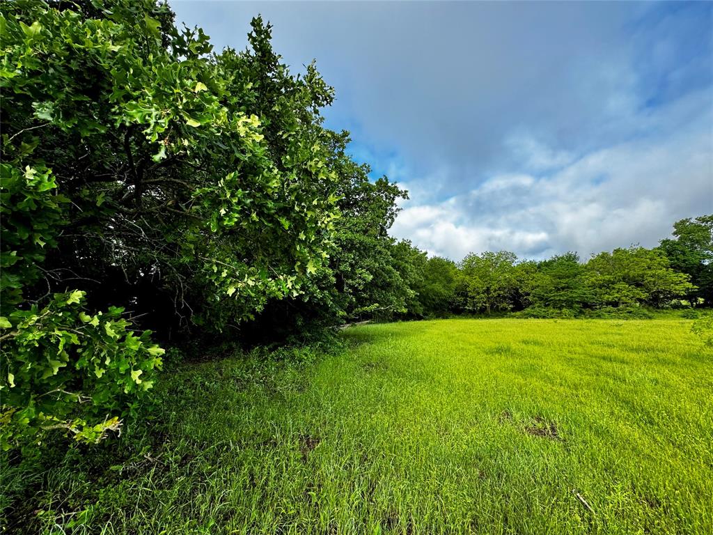 J Robertson A-721 - Land