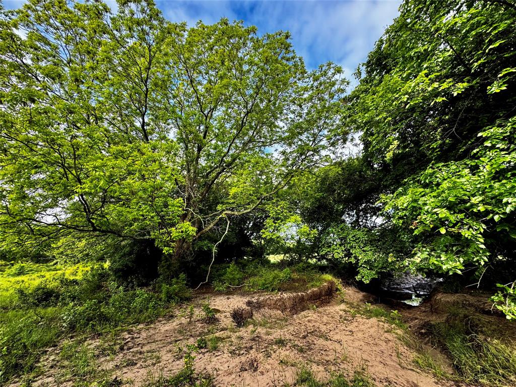 J Robertson A-721 - Land