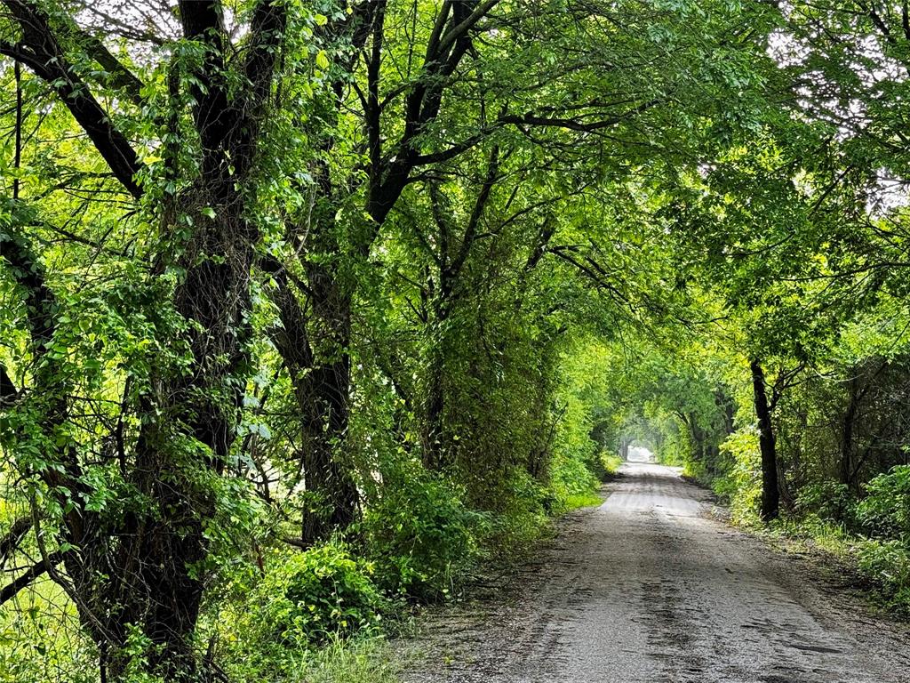 J Robertson A-721 - Land