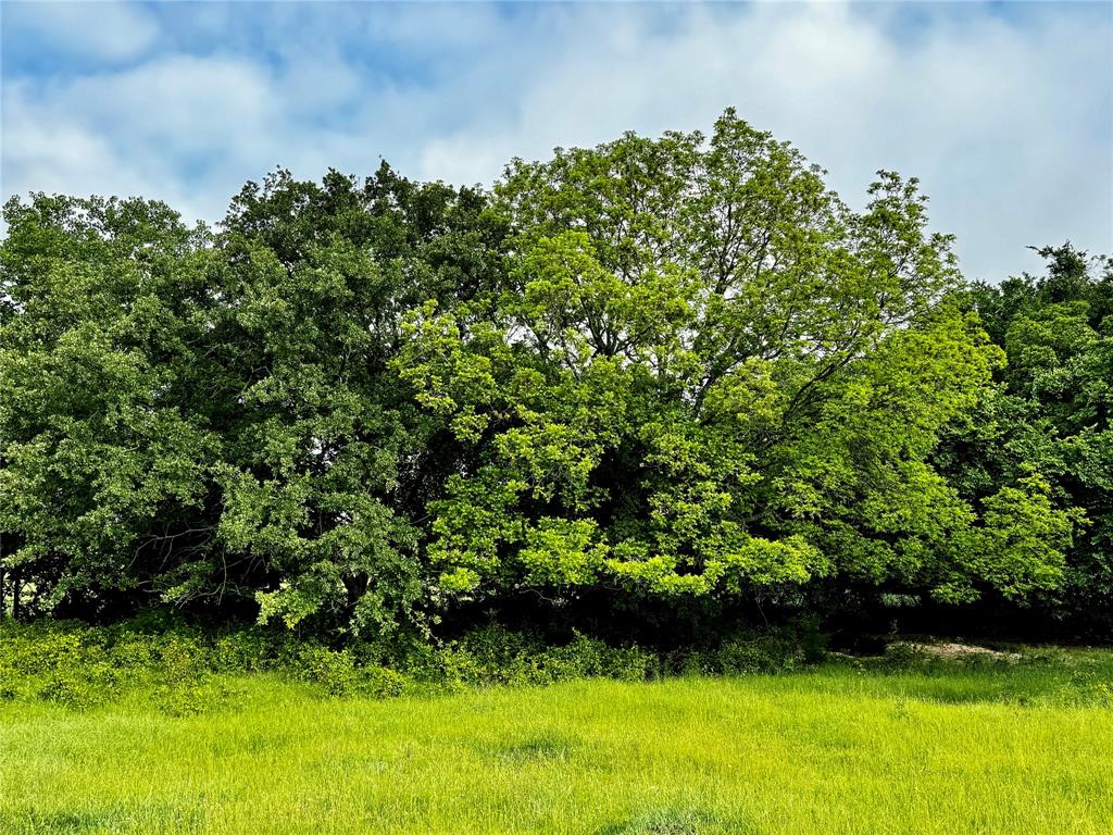 J Robertson A-721 - Land