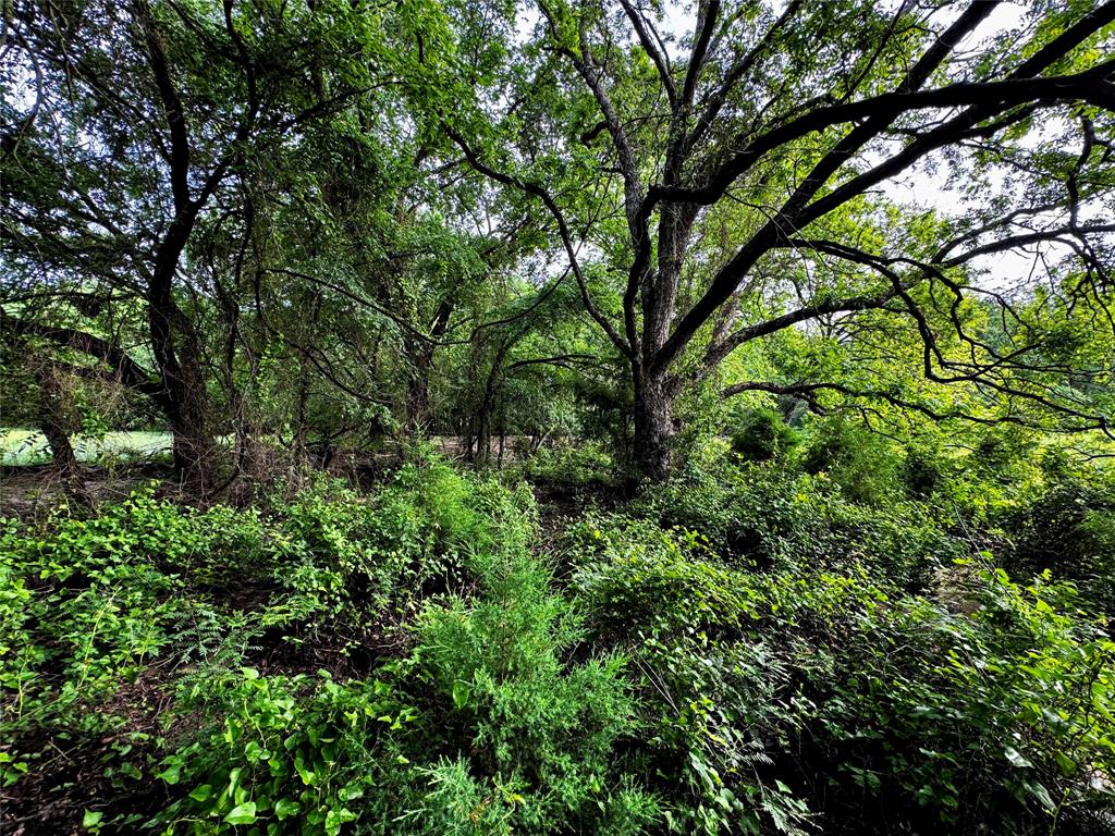 J Robertson A-721 - Land