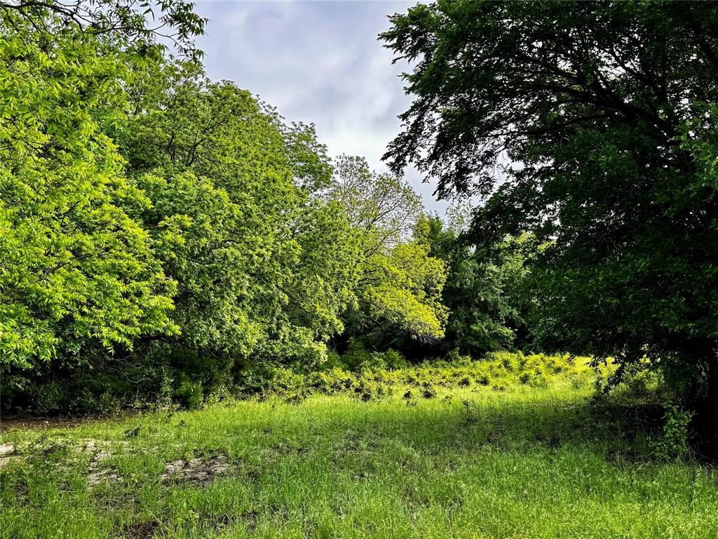 J Robertson A-721 - Land